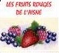 Logo des Fruits Rouges de l’Aisne, client de la GMAO Maintexpress